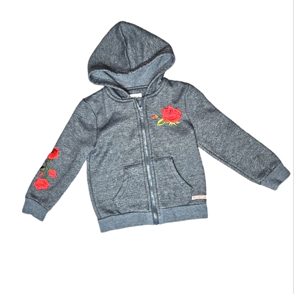 Hudson Boys 3T Hoodie Rose Stitching Gray - Picture 1 of 4
